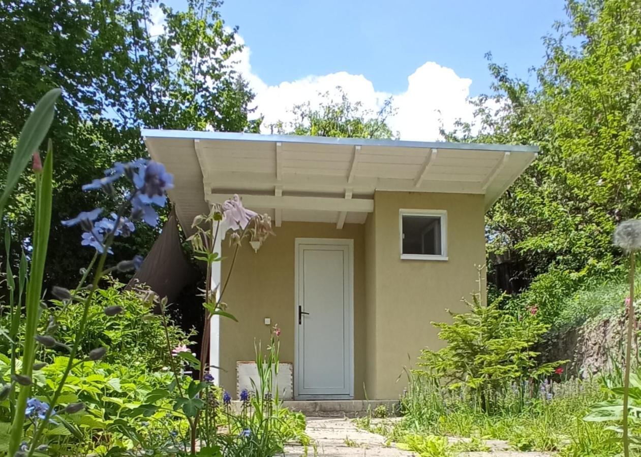 The Bungalow Брашов Экстерьер фото