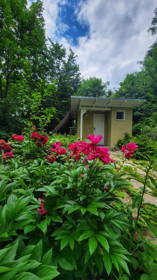 The Bungalow Брашов Экстерьер фото